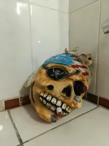 Фотография Адвентура 4